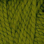 Plymouth Encore Mega Yarn in the color 0462