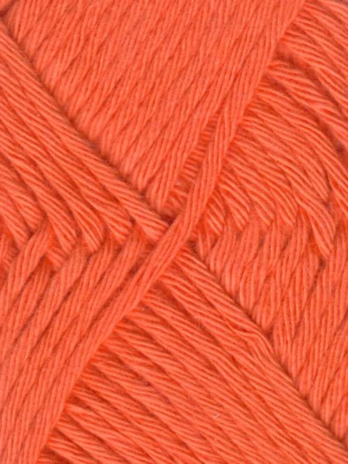Queensland Coastal Cotton Fine yarn in the color Persimmon 2023
