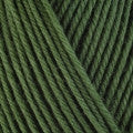 Berroco Ultra Wool Yarn in the color Basil 3343