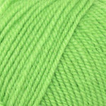 Plymouth Encore Worsted Yarn in the color Rio Lime 3335