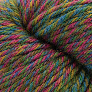 Cascade yarns 220 superwash yarn in the color Wildvlower 119
