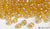 Miyuki 6/0 glass seed beads in the color 251 Transparent Pale Gold AB