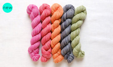 Manos del Uruguay Fino Mini Skein Set