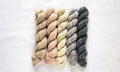 Manos del Uruguay Fino Mini Skein Set