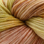 Cascade Yarns Cantata Hand Paint yarn in the color Autumn Sunset 201