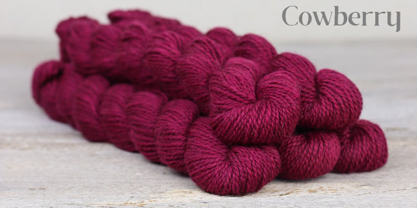 The Fibre Company Amble Yarn Mini Skein in the color Cowberry(bright pink)