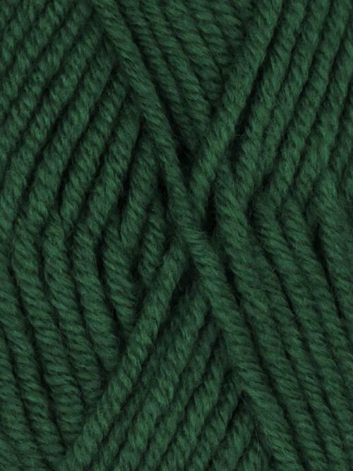 Woolie Bulky Yarn by Ella Rae