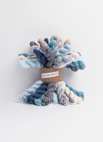 Blue Sky Fibers Woolstok Bundle Kit