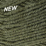 Plymouth yarn encore worsted yarn color Pesto 9863