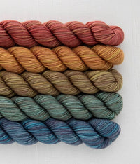 Sweet Georgia Party of Five Mini Skein Sets of Tough Love Sock yarn in the color combo Blazing Trails