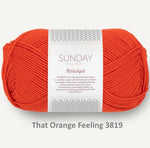 Sandnes Garn Sunday fingering weight 100% merino yarn in the color that orange feeling 3819