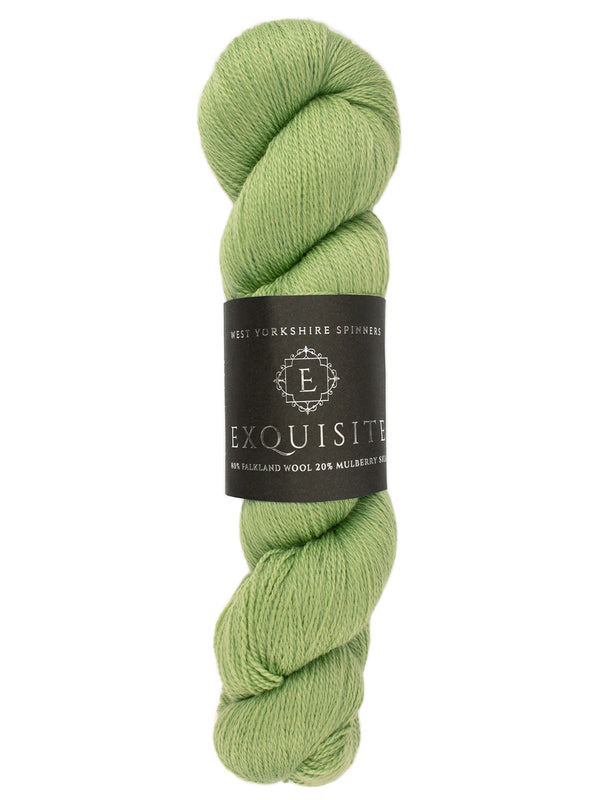 West Yorkshire Spinners Exquisite Lace color Eucalyptus