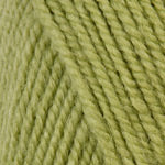 Plymouth Encore Worsted Yarn in the color Green Gremlin 451