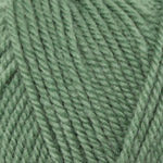 Plymouth Encore Worsted Yarn in the color Light Greenhouse 1232