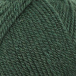 Plymouth Encore Worsted Yarn in the color Greenhouse 1233