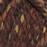 Plymouth Encore Mega Colorspun Yarn in the color Browns 7155