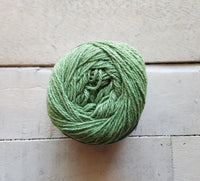 Queensland United Yarn in the Color 07 Lichen