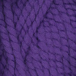 Plymouth Encore Mega Yarn in the color Purple 1606
