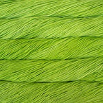 Malabrigo Rios yarn in the color Apple Green 011