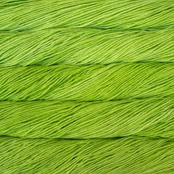 Malabrigo Rios yarn in the color Apple Green 011