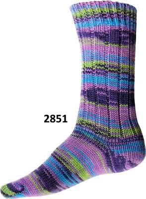 ONline Supersocke 8 ply fach sock yarn in the color 2851 Purple Pink Green light blue