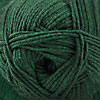 Cascade Yarns Anchor Bay Yarn in the color 35 (green)