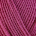 Berroco Ultra Wool Chunky Yarn in the color Hibiscus 4331