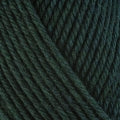 Berroco Ultra Wool Chunky Yarn in the color Pine 43149