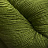 Cascade Yarns Heritage Yarn in the color Cedar Green 5684