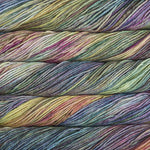 Malabrigo Rios Yarn in the color Arco Iris