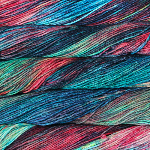 Malabrigo Rios Yarn in the color Cameleon