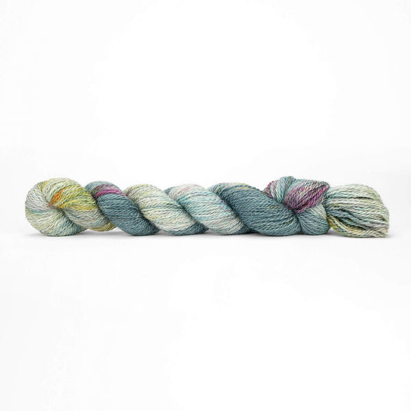 Pascuali Balayage Hand Dyed  Yarn in the color Chavin 730