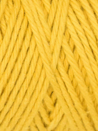 Queensland Coastal Cotton yarn in the color Goldenrod 1006