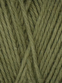 Queensland Coastal Cotton yarn in the color Moss 1007