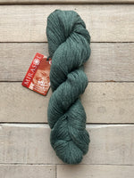 Mirasol Nieva yarn in the color Juniper 02