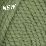 Plymouth Encore Mega Yarn in the color Basil 0483