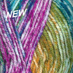 Plymouth Encore Worsted Colorspun yarn in the color Spectrum Spray 7203