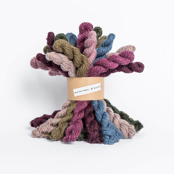 Blue Sky Fibers Woolstok yarn mini skein bundle in the color Bramble & Fig