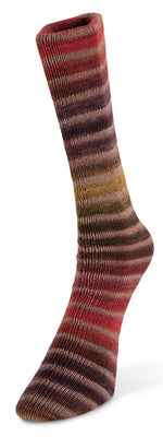 Laines du Noord paint sock yarn color number 10 red/Brick/Mustard/olive