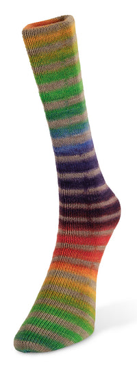Laines du Noord paint sock yarn color number 20 Rainbow