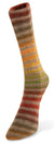 Laines du Noord paint sock yarn color number 30 brick, olive, ochre, lime