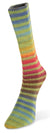 Laines du Noord paint sock yarn color number 60