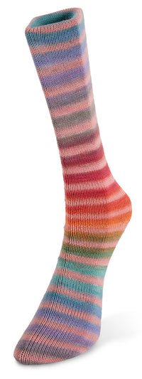 Laines du Noord paint sock yarn color number 80