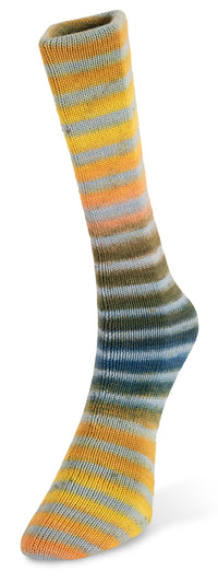 Laines du Noord paint sock yarn color number 90