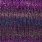 Plymouth Encore Worsted Colorspun Yarn in the color Berry Grape 7767