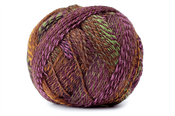 Zauberball Crazy Yarn in the color 2312