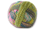 Zauberball Crazy Yarn in the color 2334