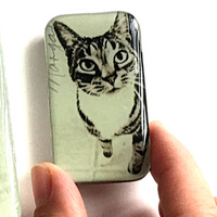 Cat small notions tin