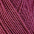 Berroco Ultra Wool superwash worsted weight yarn in the color 33148 Peony
