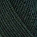 Berroco Ultra Wool Yarn in the color Pine 33149